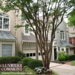 Glenridge Commons