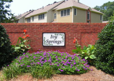 ivy springs a