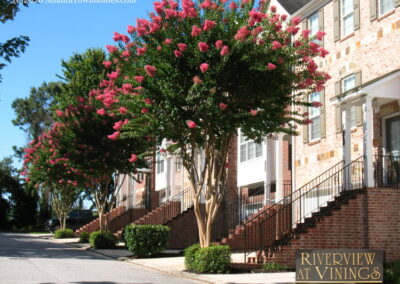 riverview at vinings townhomes 9a