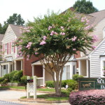 Mulberry Farms Townhomes