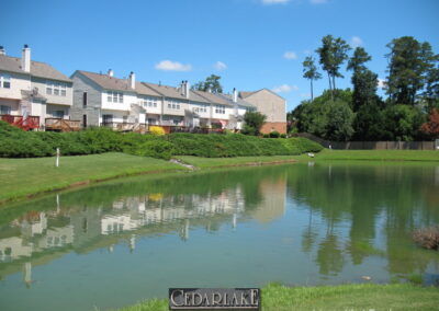 cedarlake u4a