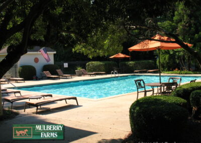 mulberry farms u2a