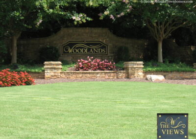 the views at woodlands townhomes 3a