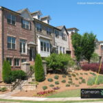 Cameron Parc