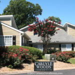 Carlyle Woods