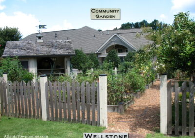 wellstone 555a